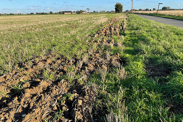 Photo of a field